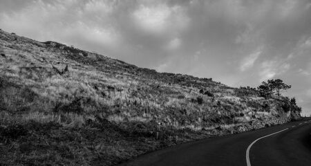 Lonely road in a national park on the island of Madeiraの写真素材