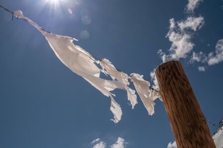 Fabric shreds on a barbed wire fenceの写真素材
