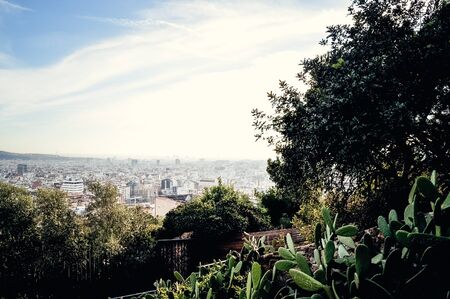 Above, afternoon, apartment, architecture, area, attraction, barcelona, before sunset, birds eye view, block, building, catalonia, catalunya, city, cityscape, cloud, dense, district, downtown, europe, european, evening, exterior, house , landmark, landscape, orange, outdoor, outside, panorama, panoramic, perspective, residential, roof, rooftops, scene, sky, skyline, skyscraper, spain, spanish, street, sunset, top, tourism, town, travel, twilight, urban , viewの写真素材