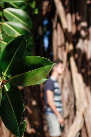 Young boy on blurred out-of-focus background with tropical plant in front of himの写真素材