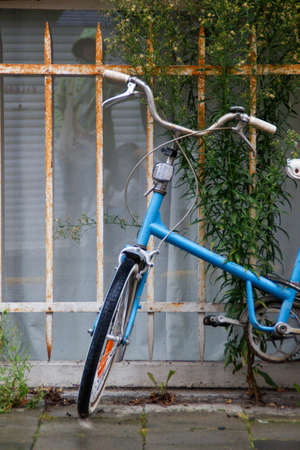 Vintage and old blue rusty bicycle abandonedの写真素材