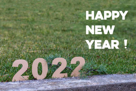 Happy New year 2022 composition with nature grass backgroundの写真素材