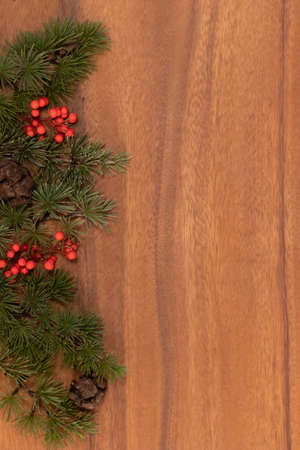 Long Christmas border banner of red holly ornaments, branches and pine conesの写真素材