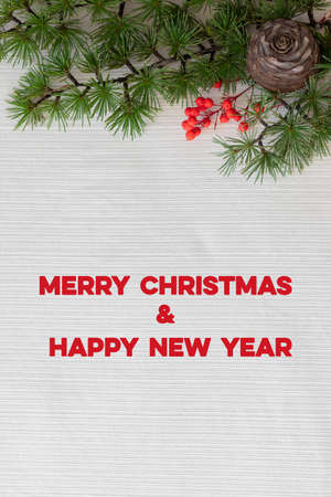 Creative frame made of Christmas fir branches on white backgroundの写真素材
