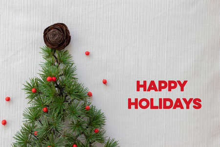 conceptual christmas tree made with pine branches on white backgroundの写真素材