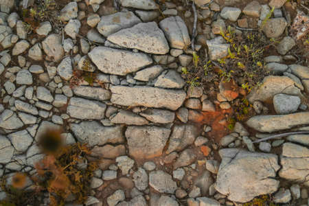 Textured background of stones and soil with plants on a destroyed road