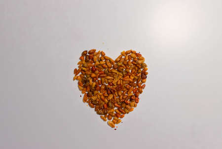 Heart shape made with red cayenne on a white background