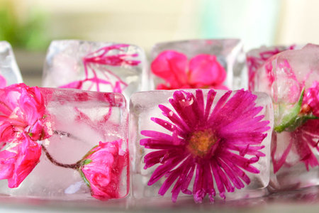 Ice cubes with frozen pink flowers for drinksの写真素材