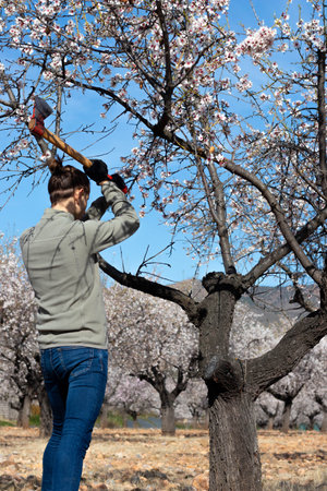 Unrecognizable young man with his arms raised and cutting the branch of a treeの写真素材