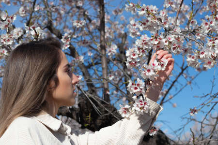 Young and beautiful woman holding and looking at a branch of flowering tree on a spring dayの写真素材