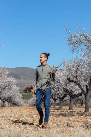 Young man with firewood to prepare a barbecue in spring surrounded by flowering treesの写真素材