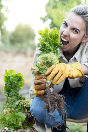 Young country girl collecting her harvest and biting a lettuce in the garden surrounded by natureの写真素材