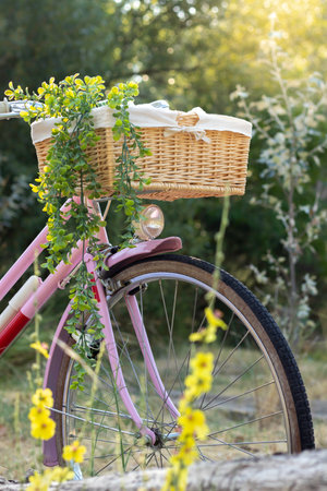 Vertical view of pink retro bicycle wit wicker basket and plant hanging in the middle of the parkの写真素材