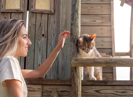 Happy smiling young blond woman trying to rescue and touch a wild street cat in a wooden structureの写真素材