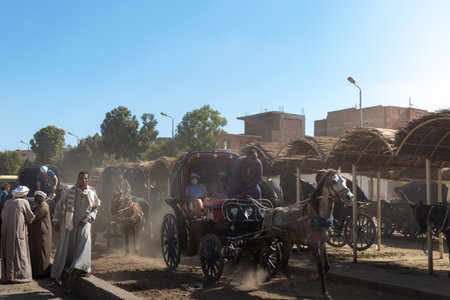 EDFU, EGYPT - 28 Dec 2022. Scene of poor city and country riding horses as means of transportation with dust in the air beacuase of the sandのeditorial素材