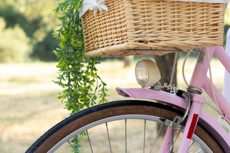 Close up view of pink vintage retro bicycle with light in front wicker basket and hanging plants in the parkの写真素材