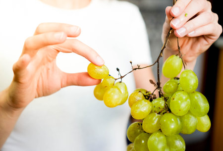 Unrecognizable woman hand taking one fresh sweet grape to eat a healthy and balanced dietの写真素材