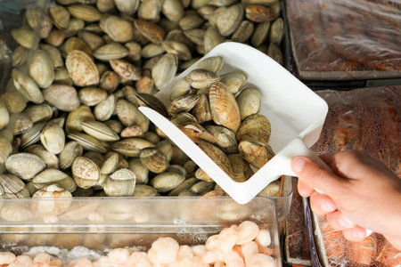Woman hand taking fresh frozen clams to maintain temperature sold in a seafood marketの写真素材