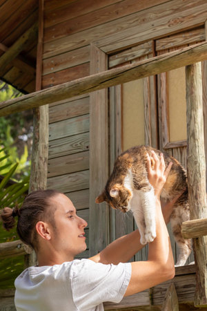 Vertical view of young bun haired man rescuing a domestic cat from the heights of a tree house outdoorsの写真素材