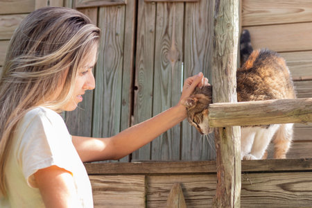 Young blonde woman touching and interacting with brown cat in a wooden house outdoors in the gardenの写真素材