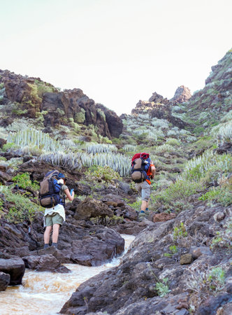 Adventurous spirit of two unidentified hikers, seen from behind, navigating a rocky stream amidst lush greenery. early morning light create a serene challenging atmosphere, highlighting the rugged terrainの写真素材