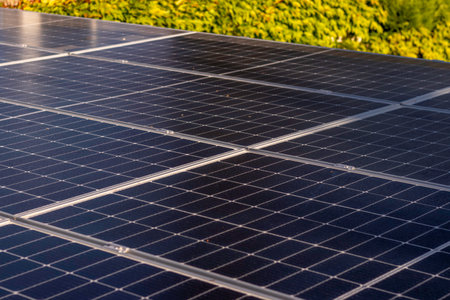 Photovoltaic solar panels on a solar farm as renewable power energy source with green vegetation in the backgroundの写真素材