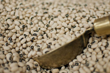 Legum and gold ladleの写真素材