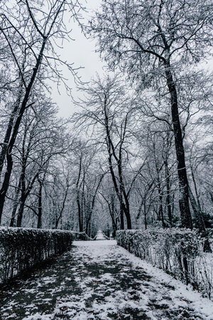 Madrid, Spain - January 2021: Retiro Park in Madrid with snow after Filomena Storm strikes in the city. Trees and path covered in snow.のeditorial素材