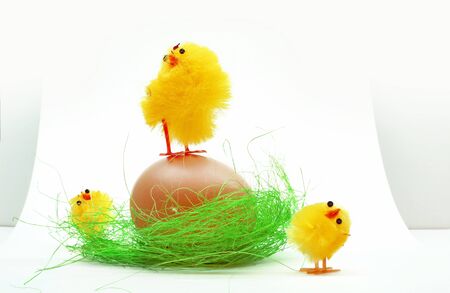 Easter chickens family on white backgroundの写真素材