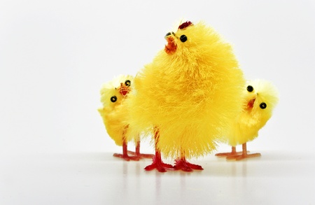 Easter chickens family on white backgroundの写真素材