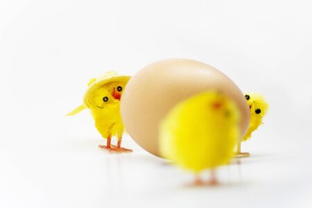 Easter chickens with egg on white background