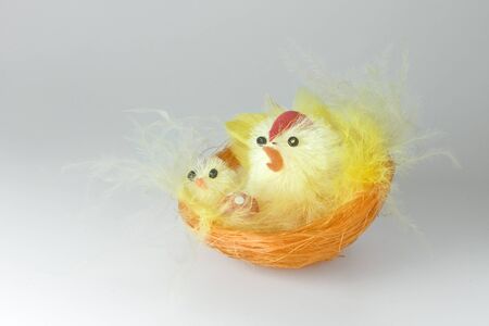 Easter chickens family on white background