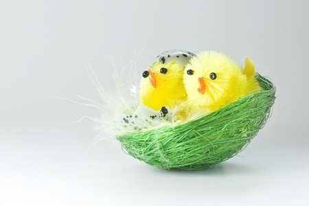 Easter chickens family on white backgroundの写真素材