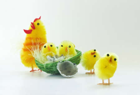 Easter chickens family on white backgroundの写真素材