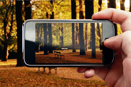 Smart phone mobile photo in park on autumnの写真素材