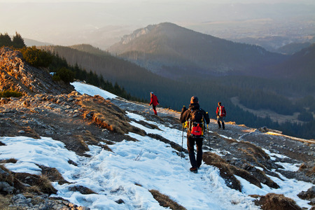 Mountain landscape with rock path and trees in Zakopaneの写真素材