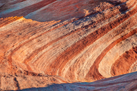 Wave pattern in the red sandstone of Valley of Fire State Park, Nevadaの写真素材