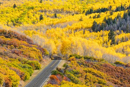 Fall foliage along Colorado Route 92 near Black Canyon of the Gunnison National Park