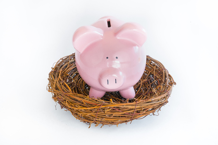 Pink piggy bank in nestの写真素材