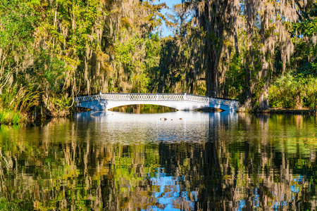 Reflection of white bridge over a lake in Magnolia Plantation in Charleston, South Carolinaの写真素材