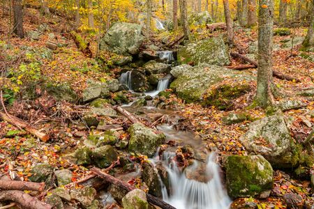 Mountain Stream Waterfall in Autumn in Shenandoah National Park