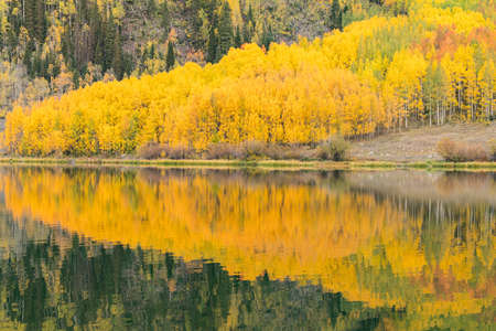 Reflection of autumn aspen trees along lake in the San Juan Mountains of Colorado