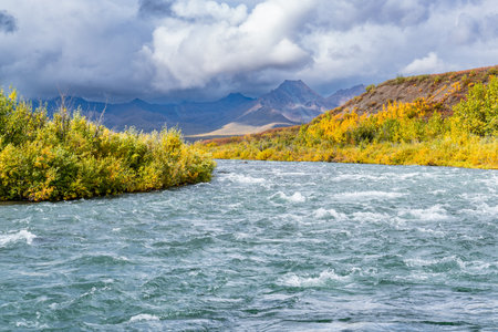 Autumn creek through the tundra along Denali Highway in Alaskaの写真素材