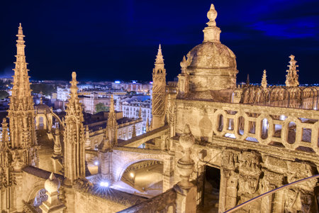 Exterior of the historic architecture of the Cathedral of Seville at nightの写真素材