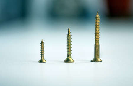 Different sized screws. Golden-sized self-tapping screws
