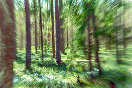 The effect of running through the forest first person view. First person view, with the effect of a...