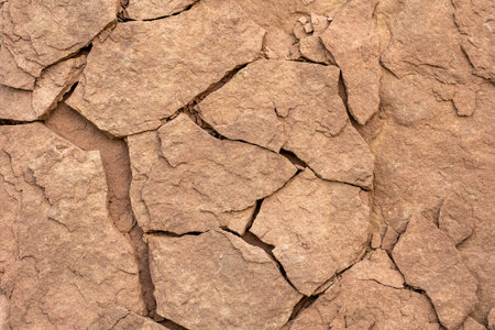 Sandstone with traces of plant fossils. Relic of ancient plants on sandstone slabs.の写真素材