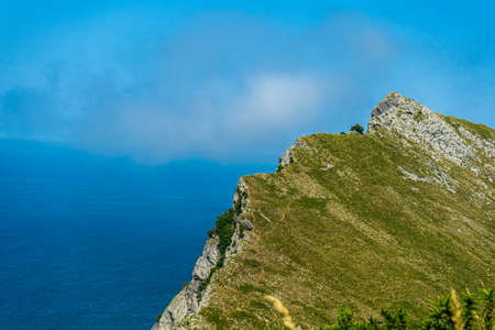 rock covered with greenery rises above the oceanの写真素材