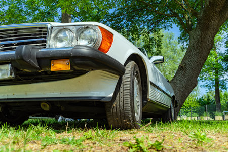 low angle view Retro car of white color on the grass.の写真素材
