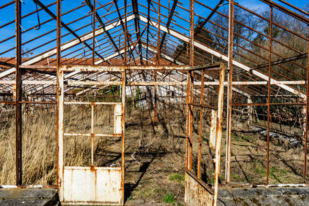 Abandoned greenhouse. Ruined abandoned greenhouse complex.の写真素材